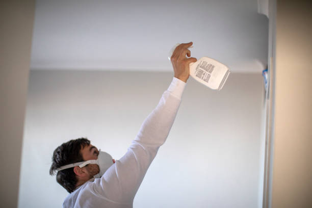 Best Commercial Mold Removal  in Trucksville, PA