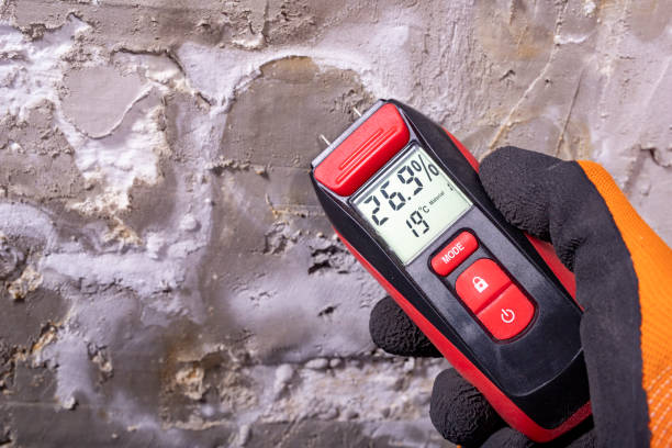 Best Certified Mold Removal  in Trucksville, PA
