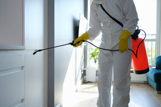 Best Mold Testing  in Trucksville, PA