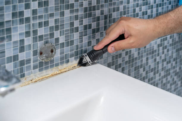 Best Black Mold Removal  in Trucksville, PA