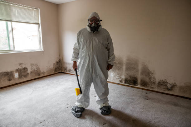 Best Commercial Mold Removal  in Trucksville, PA